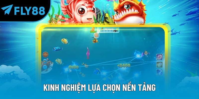 Kinh nghiệm lựa chọn nền tảng