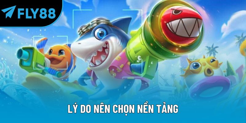 Lý do nên chọn nền tảng